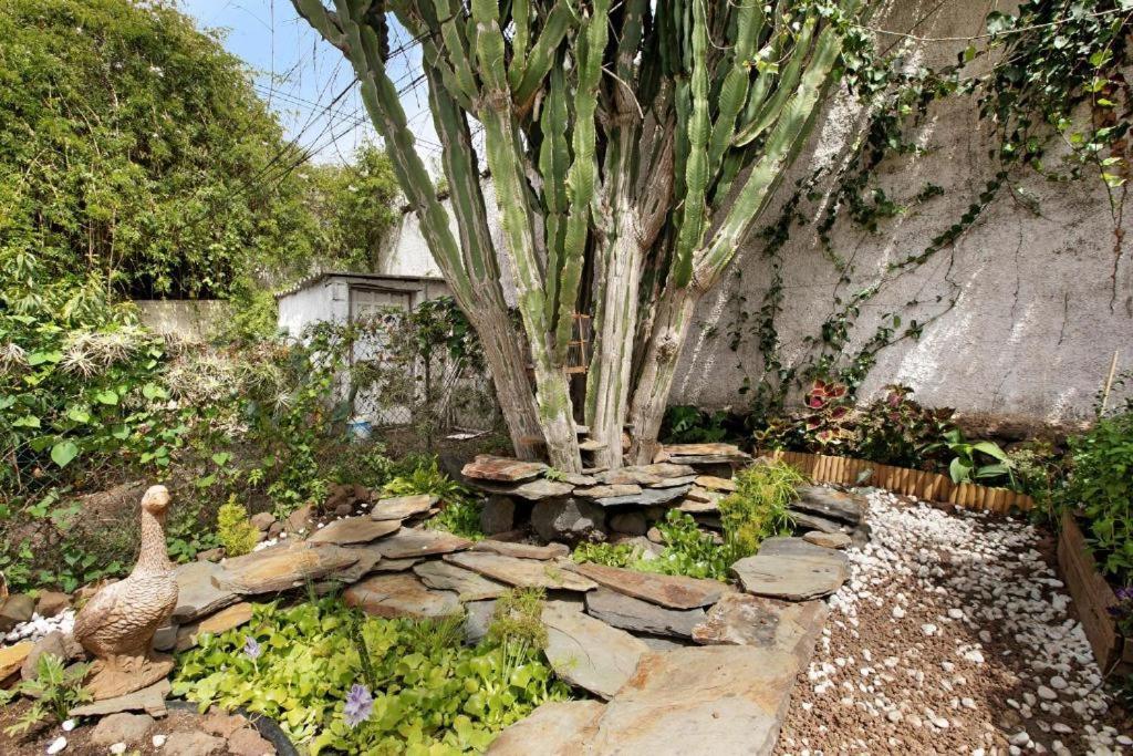 Casa Con Jardin Βίλα Tacoronte Εξωτερικό φωτογραφία